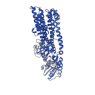 23268_7lc3_B_v1-1
CryoEM Structure of KdpFABC in E1-ATP state