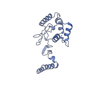 23269_7lc6_C_v1-1
Cryo-EM Structure of KdpFABC in E2-P state with BeF3