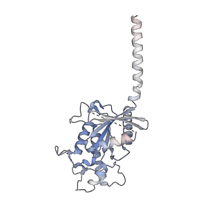 23274_7lci_A_v1-2
PF 06882961 bound to the glucagon-like peptide-1 receptor (GLP-1R):Gs complex