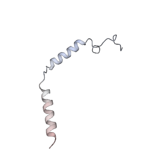 23274_7lci_G_v1-2
PF 06882961 bound to the glucagon-like peptide-1 receptor (GLP-1R):Gs complex