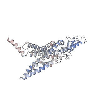 23274_7lci_R_v1-2
PF 06882961 bound to the glucagon-like peptide-1 receptor (GLP-1R):Gs complex
