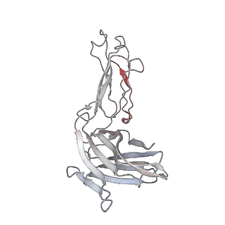 23277_7lcn_H_v1-1
Structure of SARS-CoV-2 S protein in complex with N-terminal domain antibody DH1050.1