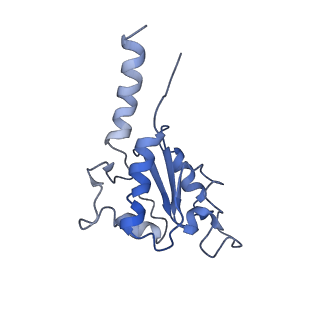 4032_5lc5_B_v1-3
Structure of mammalian respiratory Complex I, class2