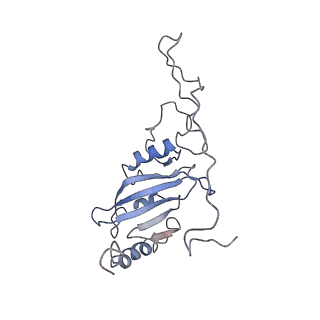 4032_5lc5_C_v1-3
Structure of mammalian respiratory Complex I, class2