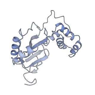 4032_5lc5_E_v1-3
Structure of mammalian respiratory Complex I, class2