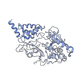 4032_5lc5_F_v1-3
Structure of mammalian respiratory Complex I, class2