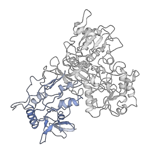 4032_5lc5_G_v1-3
Structure of mammalian respiratory Complex I, class2