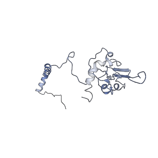 4032_5lc5_I_v1-3
Structure of mammalian respiratory Complex I, class2
