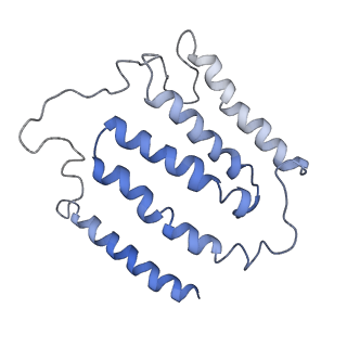 4032_5lc5_J_v1-3
Structure of mammalian respiratory Complex I, class2