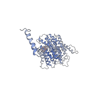4032_5lc5_L_v1-3
Structure of mammalian respiratory Complex I, class2