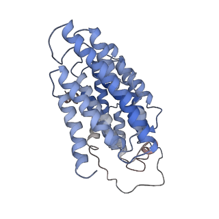 4032_5lc5_N_v1-3
Structure of mammalian respiratory Complex I, class2