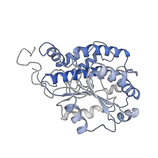 4032_5lc5_O_v1-3
Structure of mammalian respiratory Complex I, class2