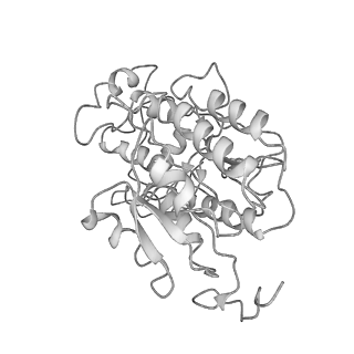 4032_5lc5_P_v1-3
Structure of mammalian respiratory Complex I, class2