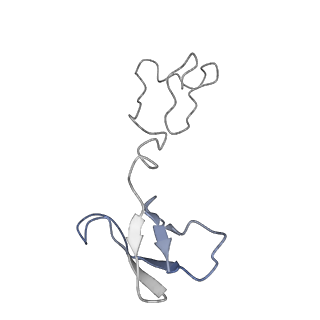 4032_5lc5_R_v1-3
Structure of mammalian respiratory Complex I, class2