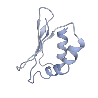 4032_5lc5_S_v1-3
Structure of mammalian respiratory Complex I, class2