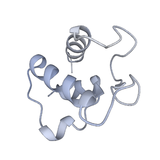4032_5lc5_T_v1-3
Structure of mammalian respiratory Complex I, class2
