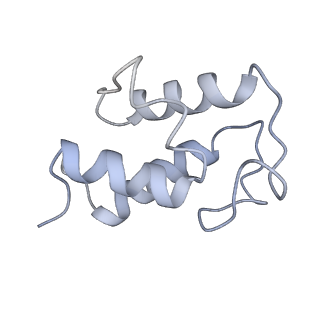 4032_5lc5_U_v1-3
Structure of mammalian respiratory Complex I, class2