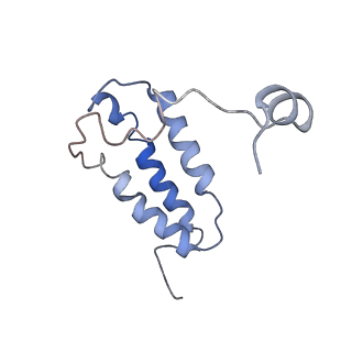 4032_5lc5_W_v1-3
Structure of mammalian respiratory Complex I, class2