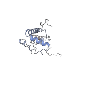 4032_5lc5_X_v1-3
Structure of mammalian respiratory Complex I, class2