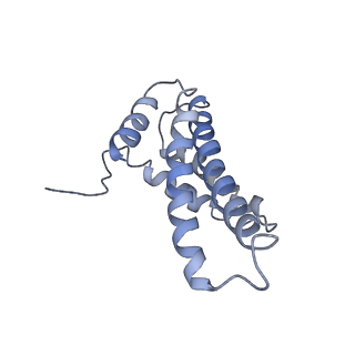 4032_5lc5_Y_v1-3
Structure of mammalian respiratory Complex I, class2