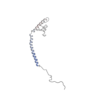 4032_5lc5_Z_v1-3
Structure of mammalian respiratory Complex I, class2