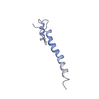 4032_5lc5_a_v1-3
Structure of mammalian respiratory Complex I, class2