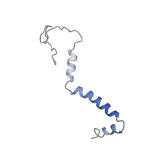 4032_5lc5_b_v1-3
Structure of mammalian respiratory Complex I, class2