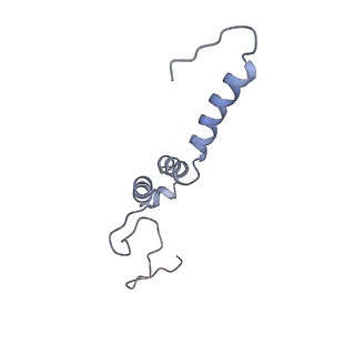 4032_5lc5_e_v1-3
Structure of mammalian respiratory Complex I, class2