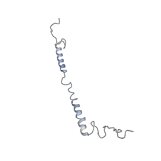 4032_5lc5_g_v1-3
Structure of mammalian respiratory Complex I, class2