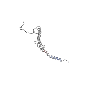 4032_5lc5_h_v1-3
Structure of mammalian respiratory Complex I, class2