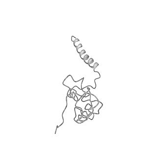 4032_5lc5_l_v1-3
Structure of mammalian respiratory Complex I, class2