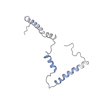 4032_5lc5_m_v1-3
Structure of mammalian respiratory Complex I, class2