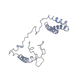4032_5lc5_n_v1-3
Structure of mammalian respiratory Complex I, class2