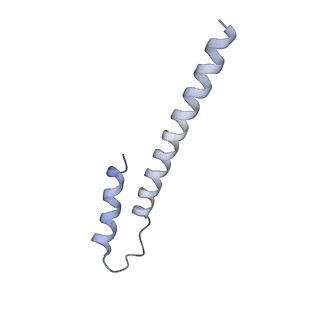 4032_5lc5_o_v1-3
Structure of mammalian respiratory Complex I, class2