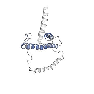 4032_5lc5_p_v1-3
Structure of mammalian respiratory Complex I, class2