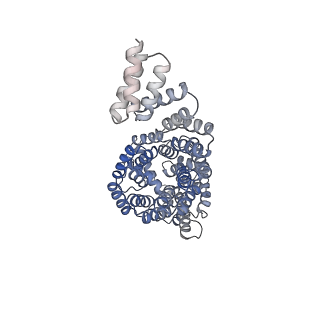 4037_5lcw_C_v1-5
Cryo-EM structure of the Anaphase-promoting complex/Cyclosome, in complex with the Mitotic checkpoint complex (APC/C-MCC) at 4.2 angstrom resolution