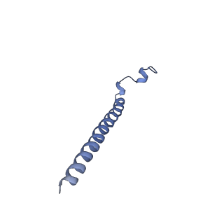 4037_5lcw_E_v1-5
Cryo-EM structure of the Anaphase-promoting complex/Cyclosome, in complex with the Mitotic checkpoint complex (APC/C-MCC) at 4.2 angstrom resolution