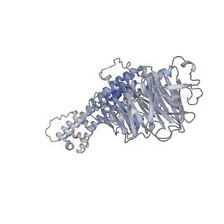 4037_5lcw_I_v1-5
Cryo-EM structure of the Anaphase-promoting complex/Cyclosome, in complex with the Mitotic checkpoint complex (APC/C-MCC) at 4.2 angstrom resolution
