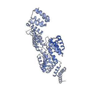 4037_5lcw_J_v1-5
Cryo-EM structure of the Anaphase-promoting complex/Cyclosome, in complex with the Mitotic checkpoint complex (APC/C-MCC) at 4.2 angstrom resolution