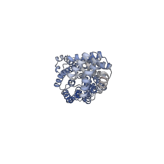 4037_5lcw_K_v1-5
Cryo-EM structure of the Anaphase-promoting complex/Cyclosome, in complex with the Mitotic checkpoint complex (APC/C-MCC) at 4.2 angstrom resolution
