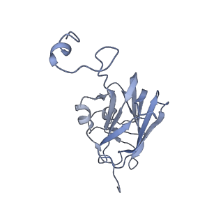 4037_5lcw_L_v1-5
Cryo-EM structure of the Anaphase-promoting complex/Cyclosome, in complex with the Mitotic checkpoint complex (APC/C-MCC) at 4.2 angstrom resolution