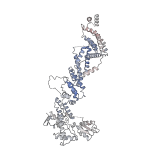4037_5lcw_N_v1-5
Cryo-EM structure of the Anaphase-promoting complex/Cyclosome, in complex with the Mitotic checkpoint complex (APC/C-MCC) at 4.2 angstrom resolution