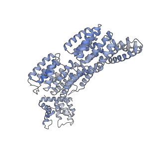 4037_5lcw_O_v1-5
Cryo-EM structure of the Anaphase-promoting complex/Cyclosome, in complex with the Mitotic checkpoint complex (APC/C-MCC) at 4.2 angstrom resolution