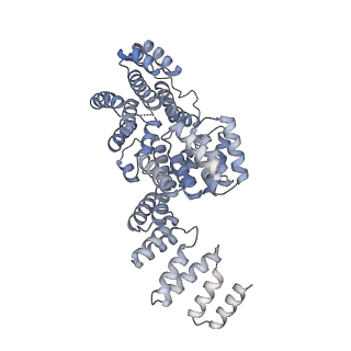 4037_5lcw_P_v1-5
Cryo-EM structure of the Anaphase-promoting complex/Cyclosome, in complex with the Mitotic checkpoint complex (APC/C-MCC) at 4.2 angstrom resolution
