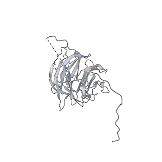 4037_5lcw_Q_v1-5
Cryo-EM structure of the Anaphase-promoting complex/Cyclosome, in complex with the Mitotic checkpoint complex (APC/C-MCC) at 4.2 angstrom resolution