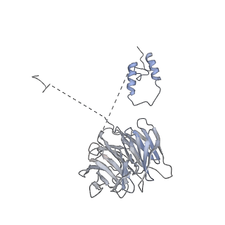 4037_5lcw_R_v1-5
Cryo-EM structure of the Anaphase-promoting complex/Cyclosome, in complex with the Mitotic checkpoint complex (APC/C-MCC) at 4.2 angstrom resolution