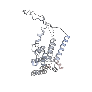 4037_5lcw_S_v1-5
Cryo-EM structure of the Anaphase-promoting complex/Cyclosome, in complex with the Mitotic checkpoint complex (APC/C-MCC) at 4.2 angstrom resolution