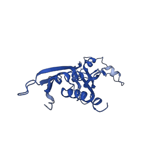 0874_6ldi_A_v1-1
The cryo-EM structure of E. coli CueR transcription activation complex