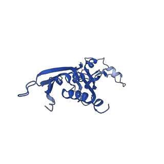 0874_6ldi_A_v1-3
The cryo-EM structure of E. coli CueR transcription activation complex