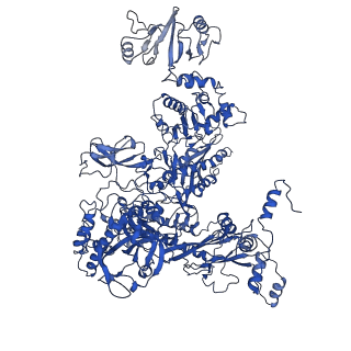 0874_6ldi_C_v1-1
The cryo-EM structure of E. coli CueR transcription activation complex